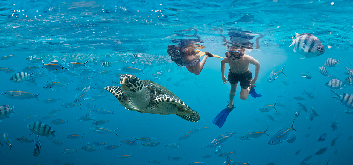 Girl_and_Boy_Snorkelling_Turtle_Layer_Final_HR