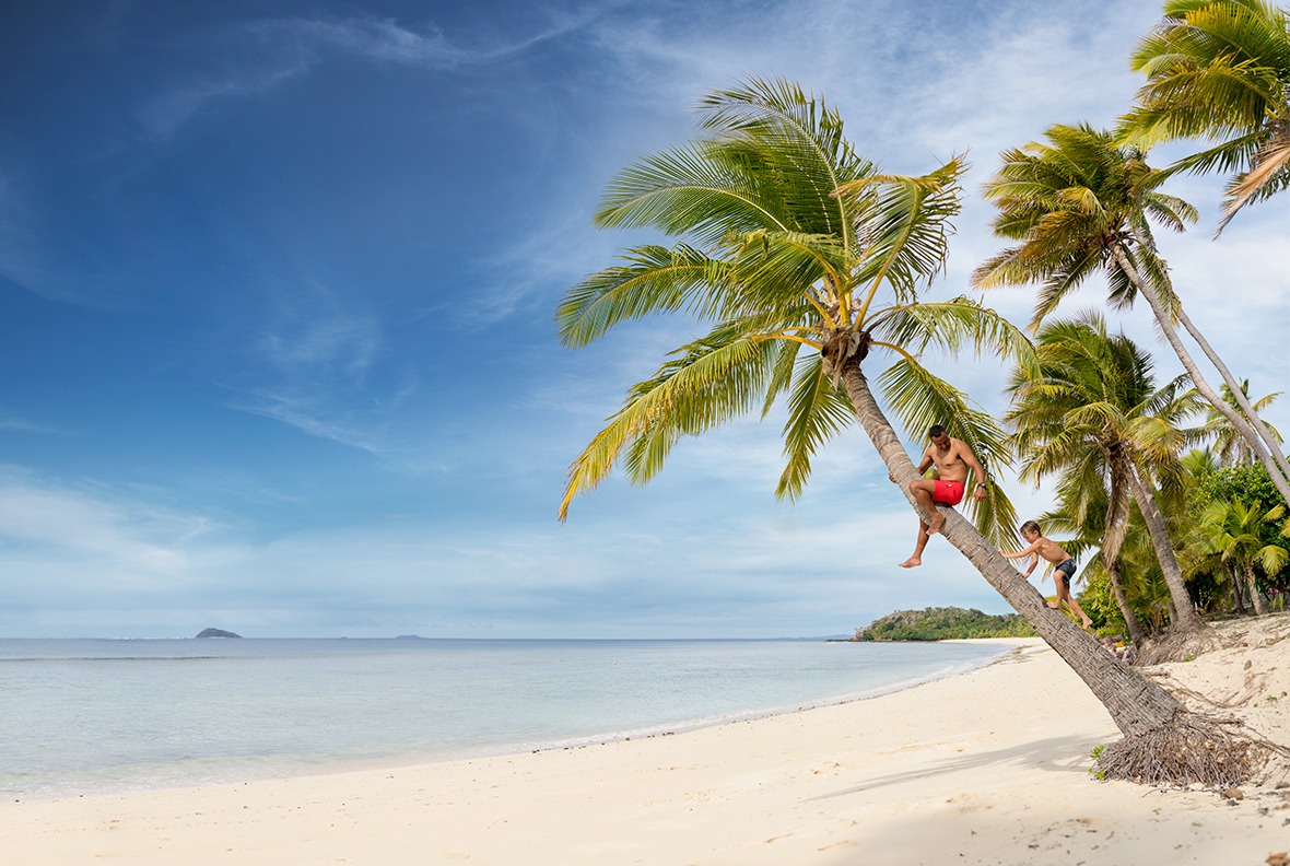 Man-Child-Coconut-Tree_Final_HR