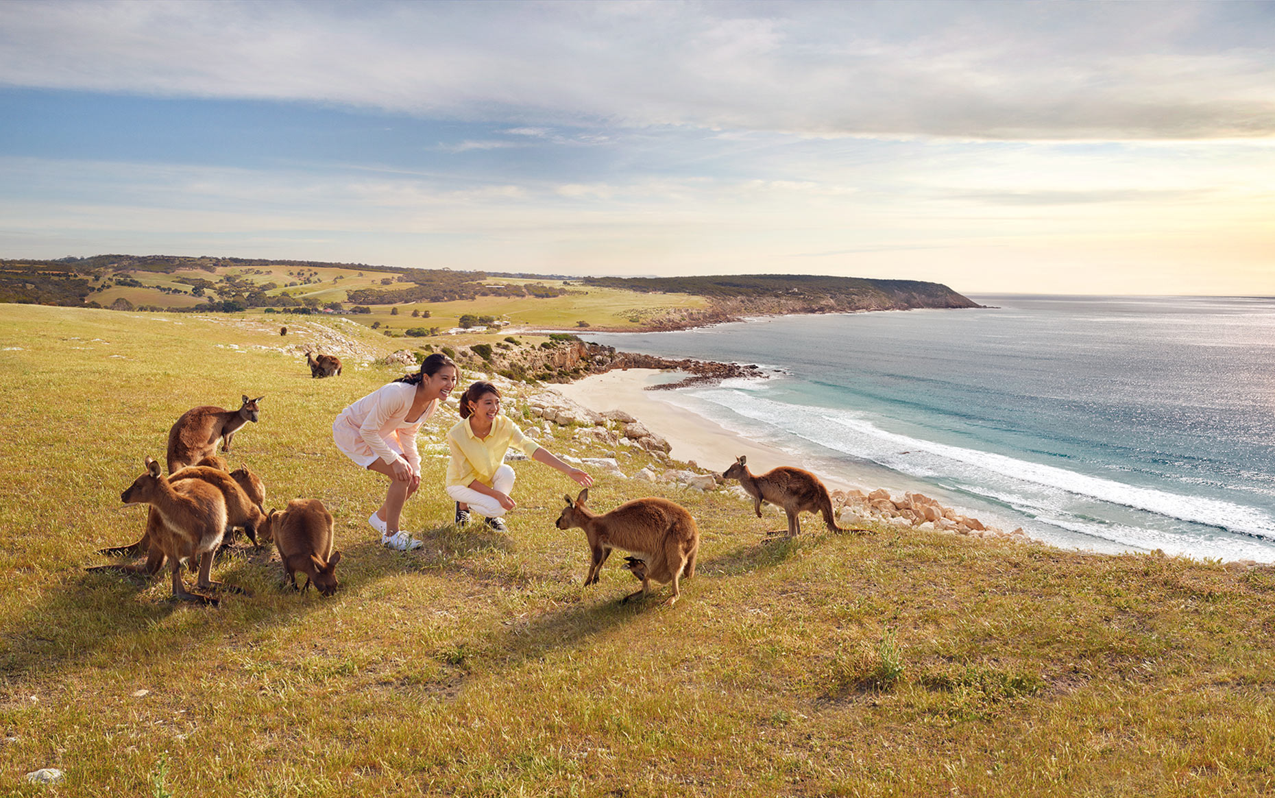 Kangaroo Island, South Australia photography for Tourism Australia. Where the bloody hell are you? 