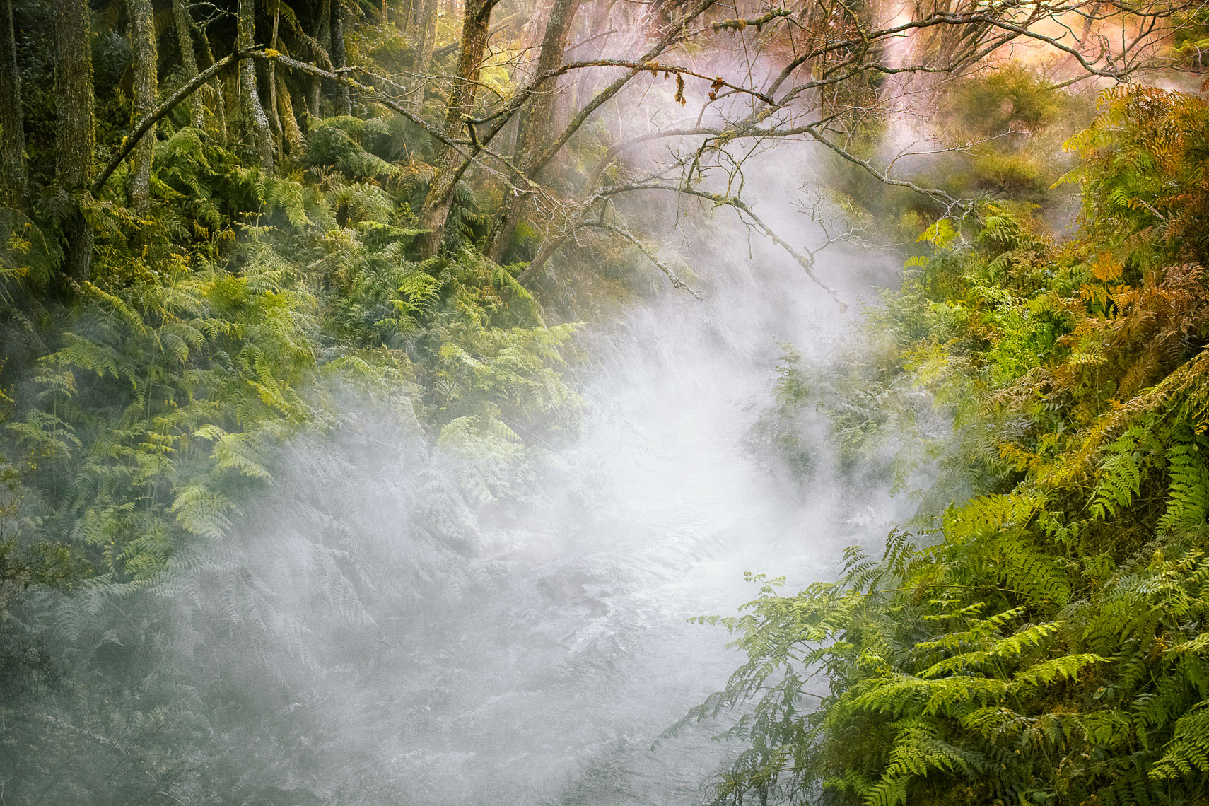 Rotorua Landscape Photography New Zealand by New Zealand Photographer Fraser Clements